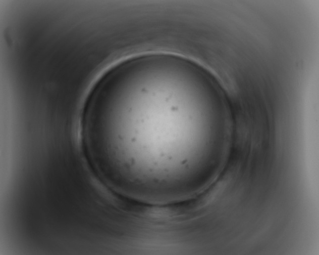 X0000093171511200710031454