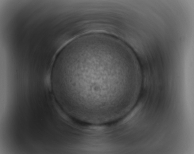 X0000093171513200710031454