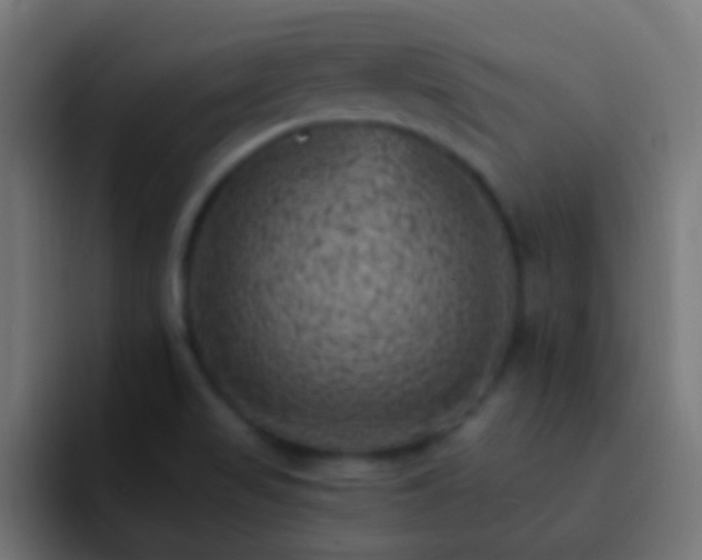 X0000093171517200710031454