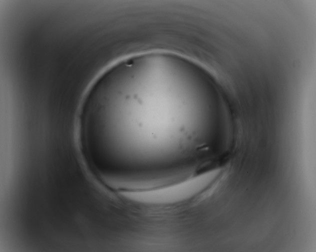 X0000093171518200710031454