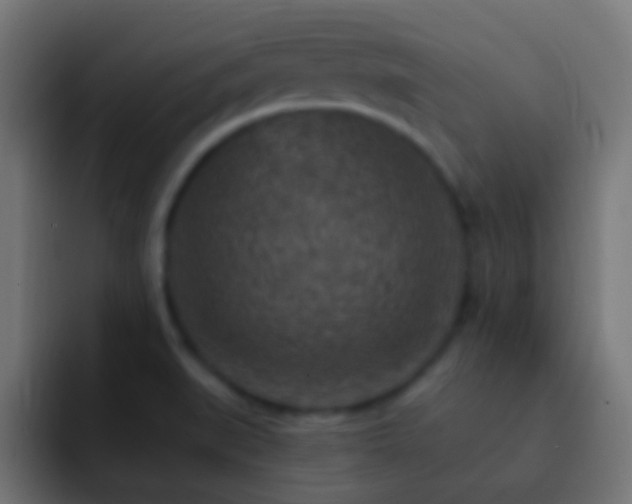 X0000093171519200710031454