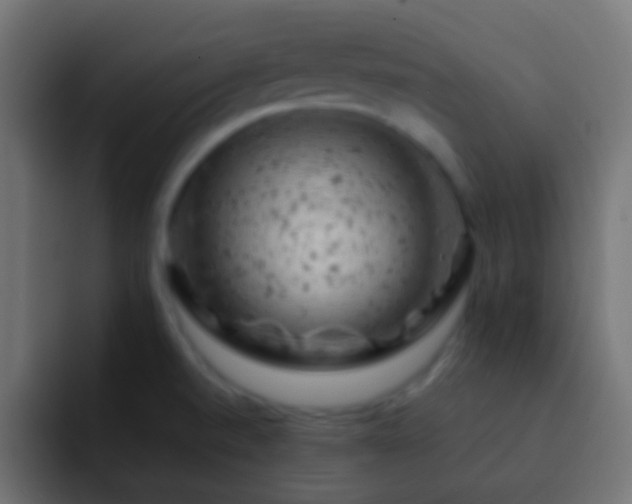 X0000093171520200710031454