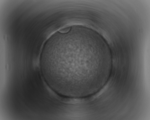 X0000093171521200710031454