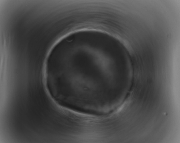 X0000093171522200710031455