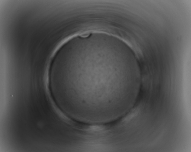 X0000093171523200710031455