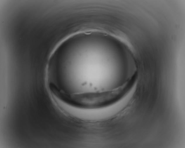 X0000093171524200710031455