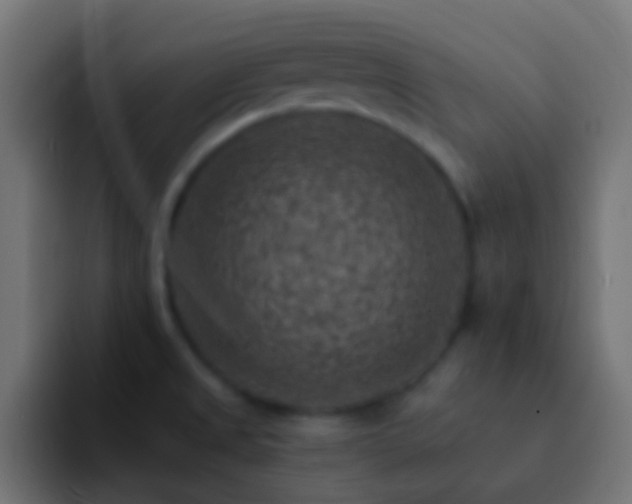 X0000093171525200710031455