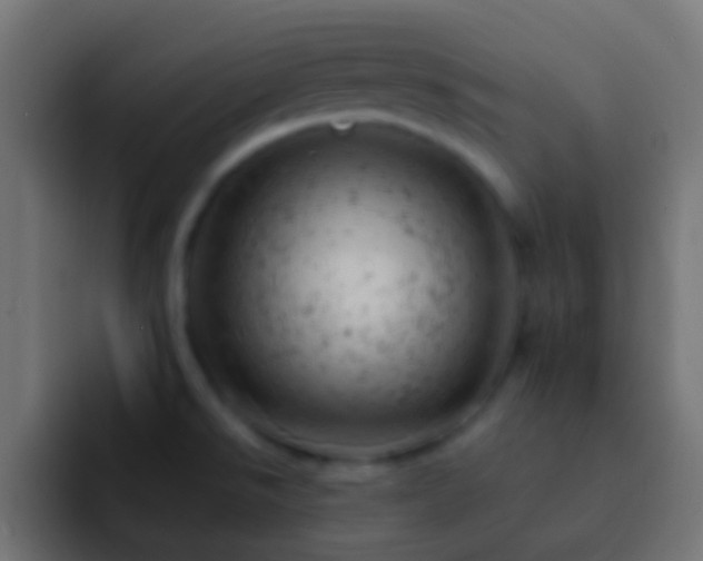 X0000093171526200710031455