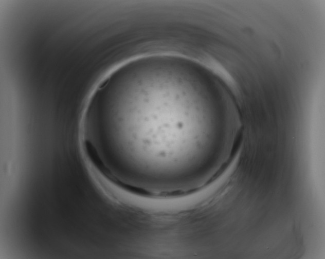 X0000093171528200710031455