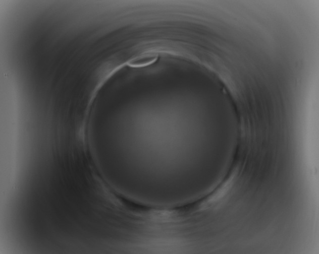 X0000093171529200710031455