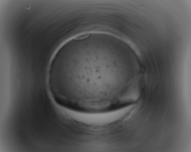 X0000093171530200710031455