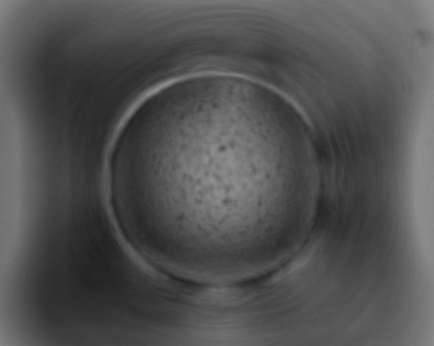 X0000093171531200710031455