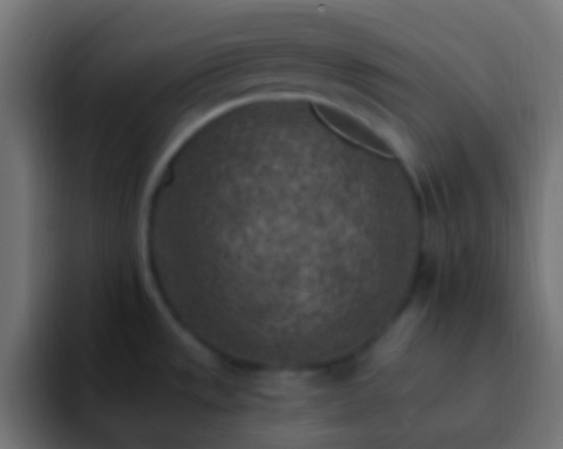 X0000093171533200710031455