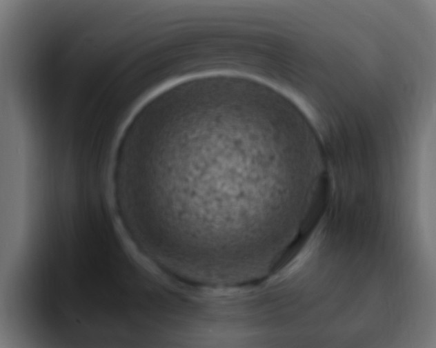 X0000093171534200710031455
