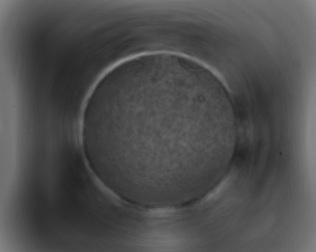 X0000093171535200710031455