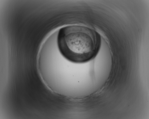 X0000093171536200710031455