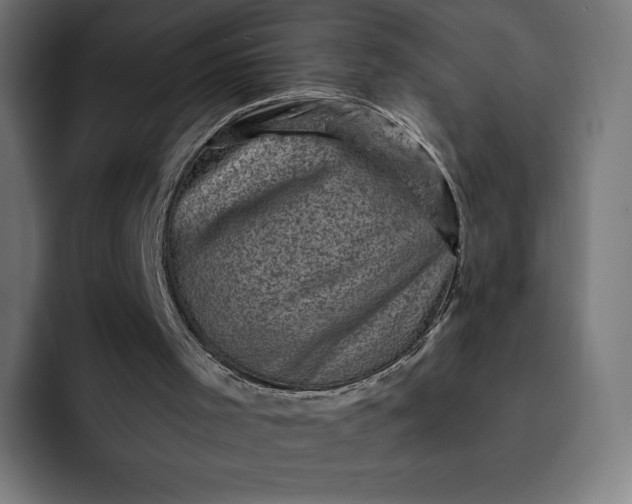 X0000093170001200710101221