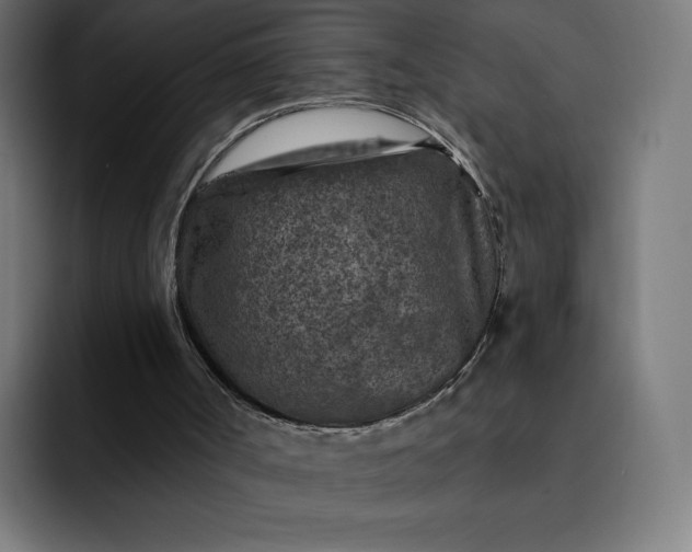 X0000093170002200710101221