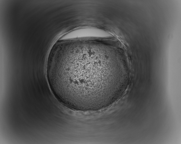 X0000093170003200710101221