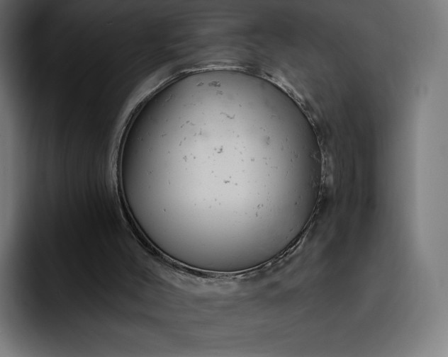 X0000093170004200710101221