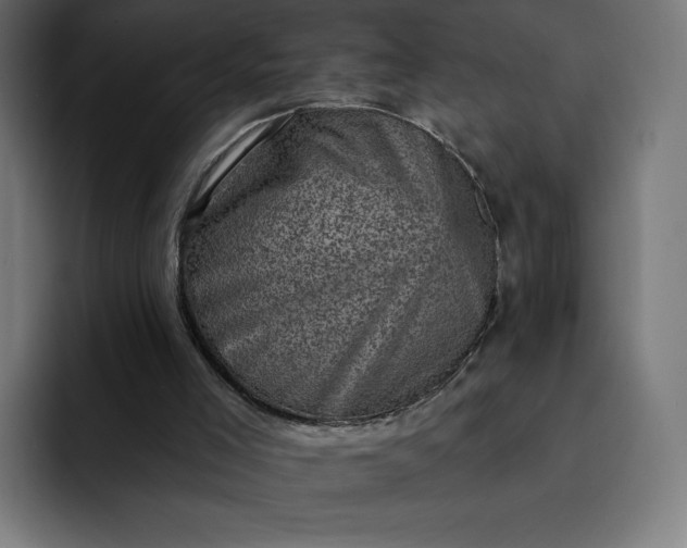 X0000093170005200710101221
