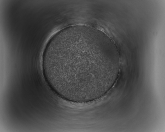 X0000093170006200710101221