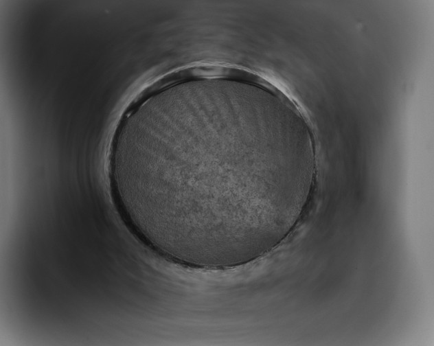 X0000093170007200710101221