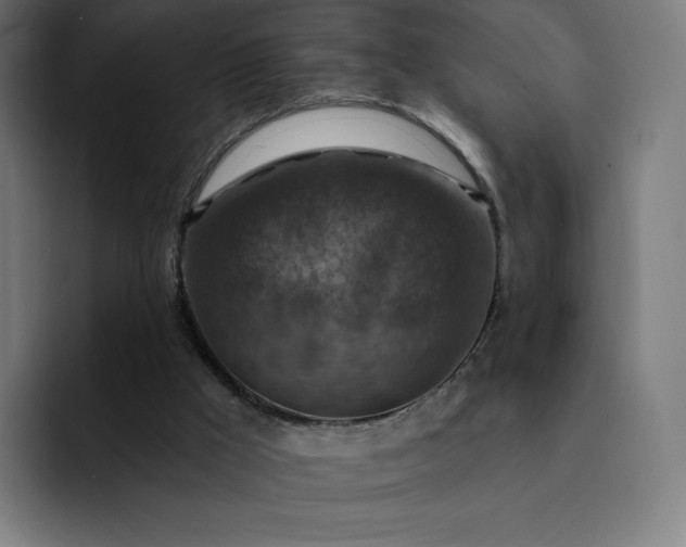X0000093170009200710101221