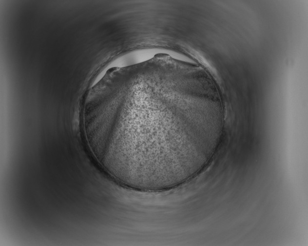 X0000093170010200710101221