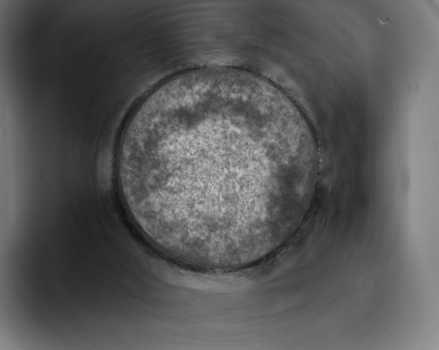 X0000093170012200710101221