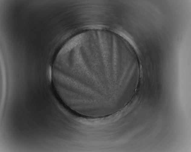 X0000093170013200710101221