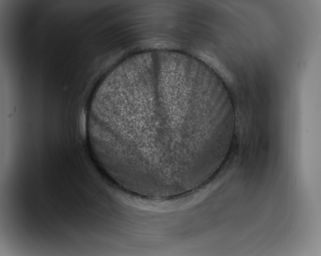 X0000093170014200710101221