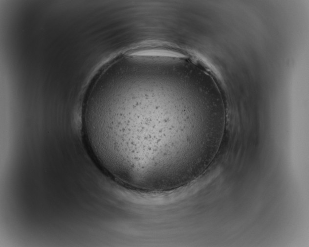 X0000093170015200710101221