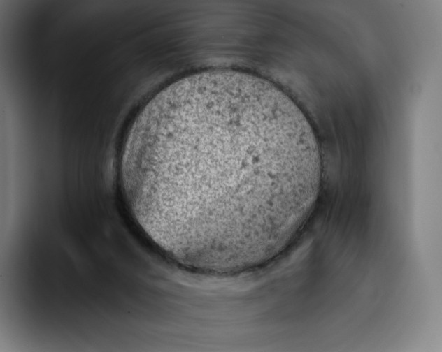 X0000093170016200710101221