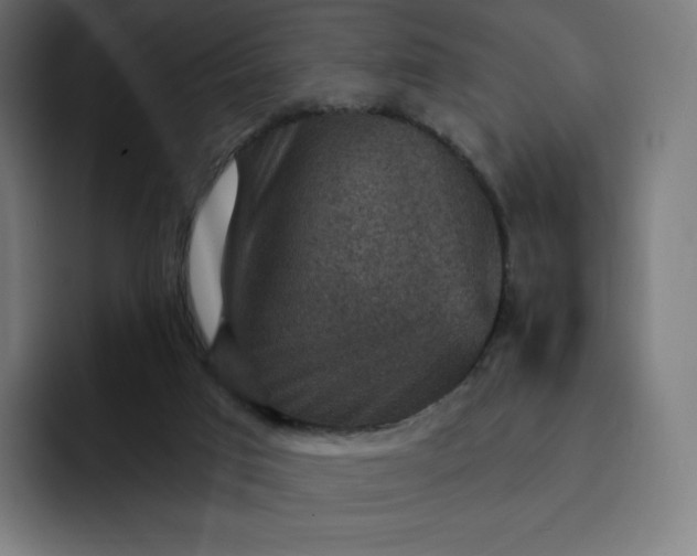 X0000093170017200710101221