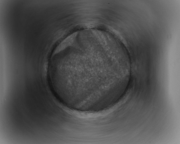 X0000093170018200710101221