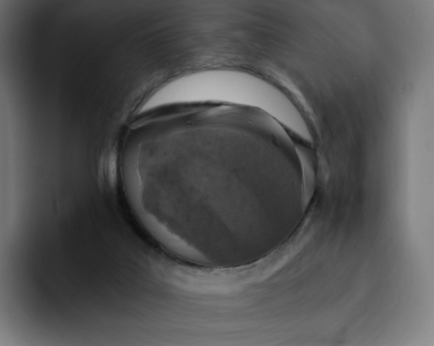 X0000093170019200710101221