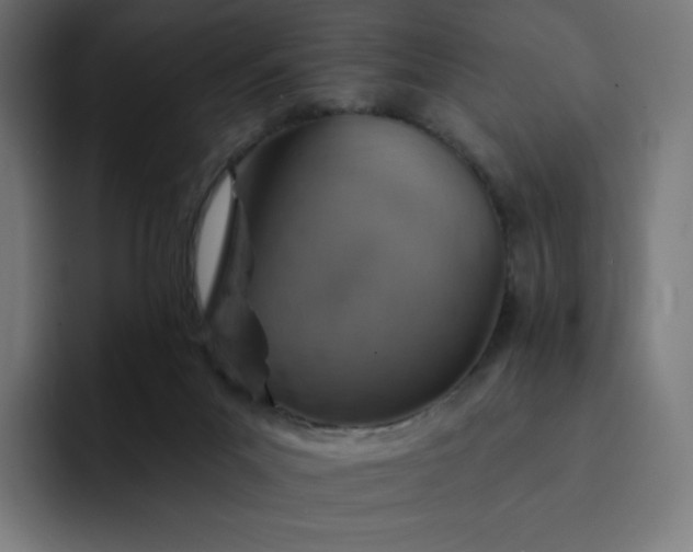 X0000093170023200710101221