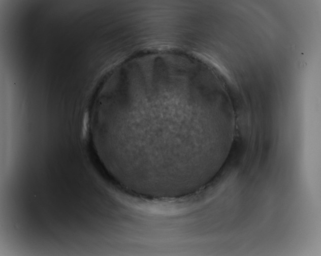 X0000093170024200710101221