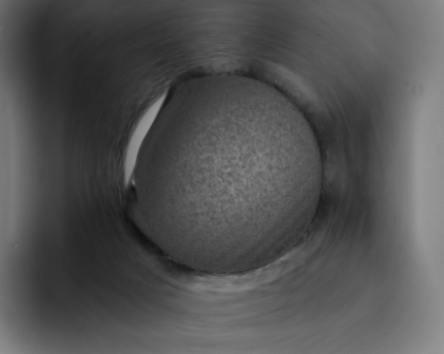 X0000093170025200710101221