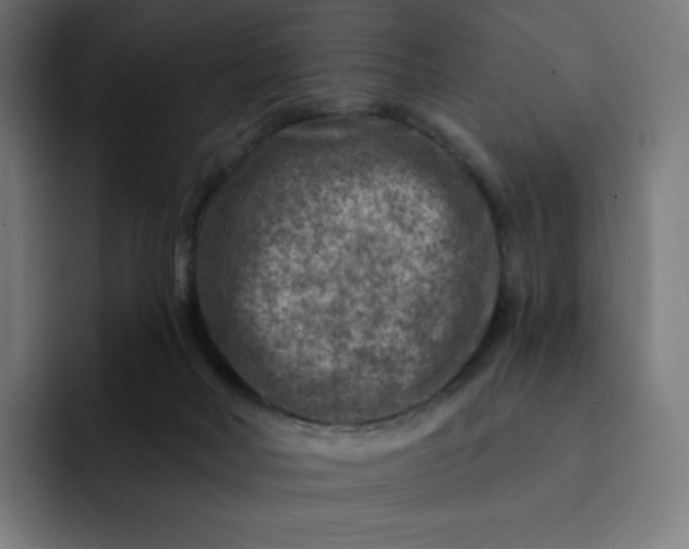 X0000093170026200710101221