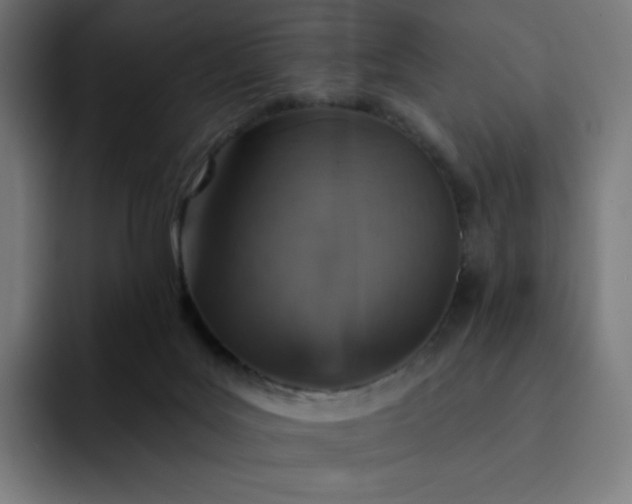 X0000093170027200710101221