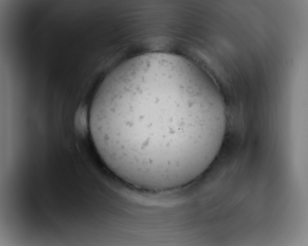 X0000093170028200710101221