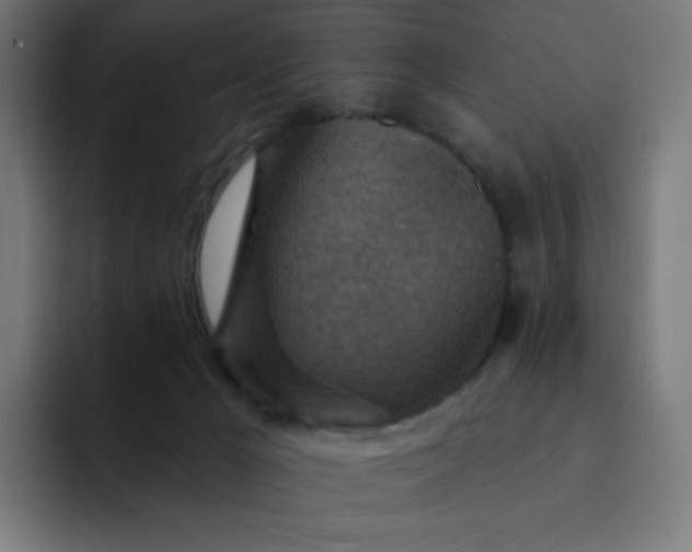 X0000093170029200710101221