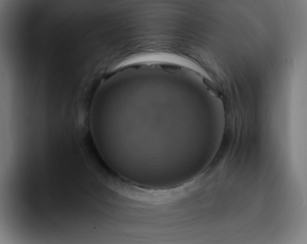 X0000093170031200710101221