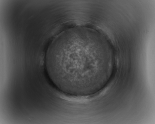 X0000093170032200710101221