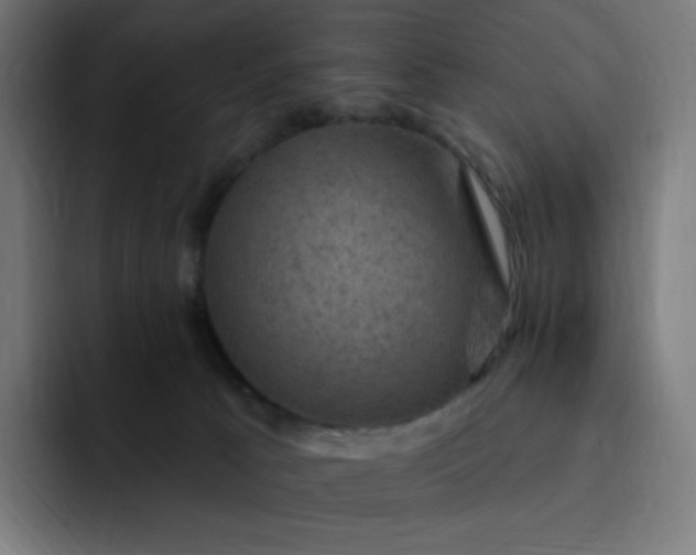 X0000093170033200710101221