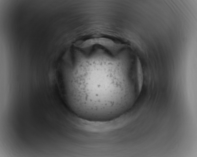 X0000093170034200710101221