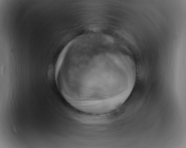 X0000093170036200710101221