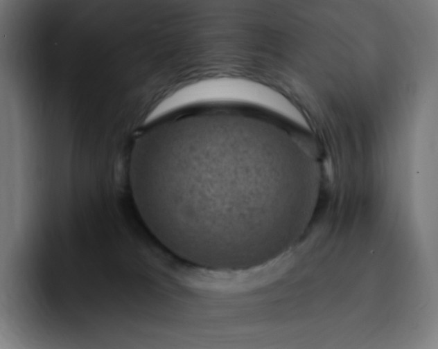 X0000093170037200710101221